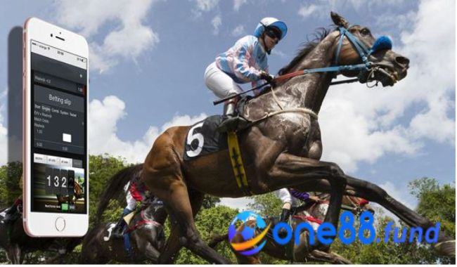 Cách cá cược đua ngựa - Hình thức cá độ phổ biến nhất