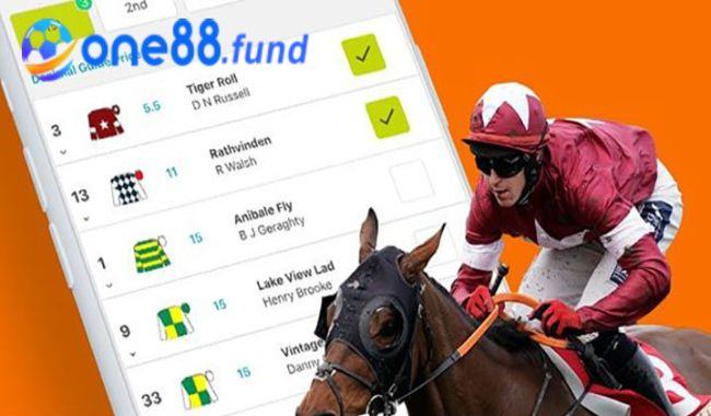 Cách cá cược đua ngựa - Hình thức cá độ phổ biến nhất