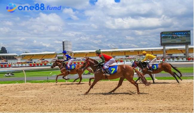 Luật cá cược đua ngựa được áp dụng phổ biến hiện nay 3 Luật cá cược đua ngựa được áp dụng phổ biến hiện nay