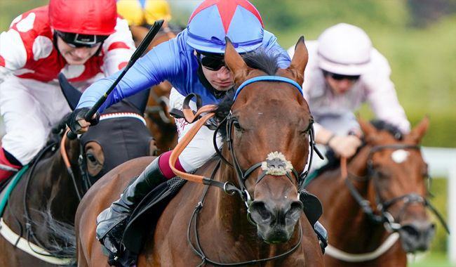 Luật cá cược đua ngựa được áp dụng phổ biến hiện nay 1 Luật cá cược đua ngựa được áp dụng phổ biến hiện nay