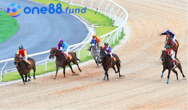 Luật cá cược đua ngựa được áp dụng phổ biến hiện nay 2 Luật cá cược đua ngựa được áp dụng phổ biến hiện nay