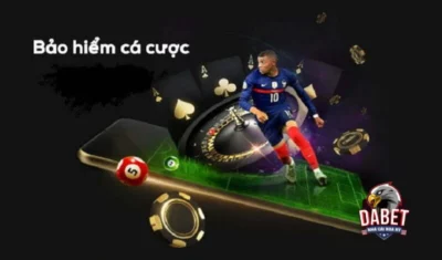Bảo hiểm cá cược là như thế nào? Tổng quan về bảo hiểm cá cược bạn cần biết