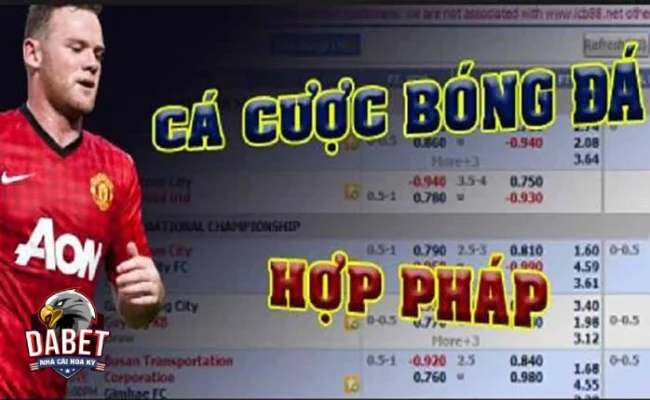 Bảo hiểm cá cược là như thế nào? Tổng quan về bảo hiểm cá cược bạn cần biết